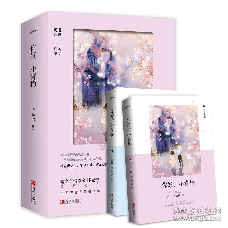 我的老师是偶像