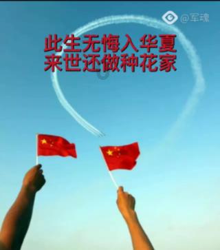 枪血黑手党