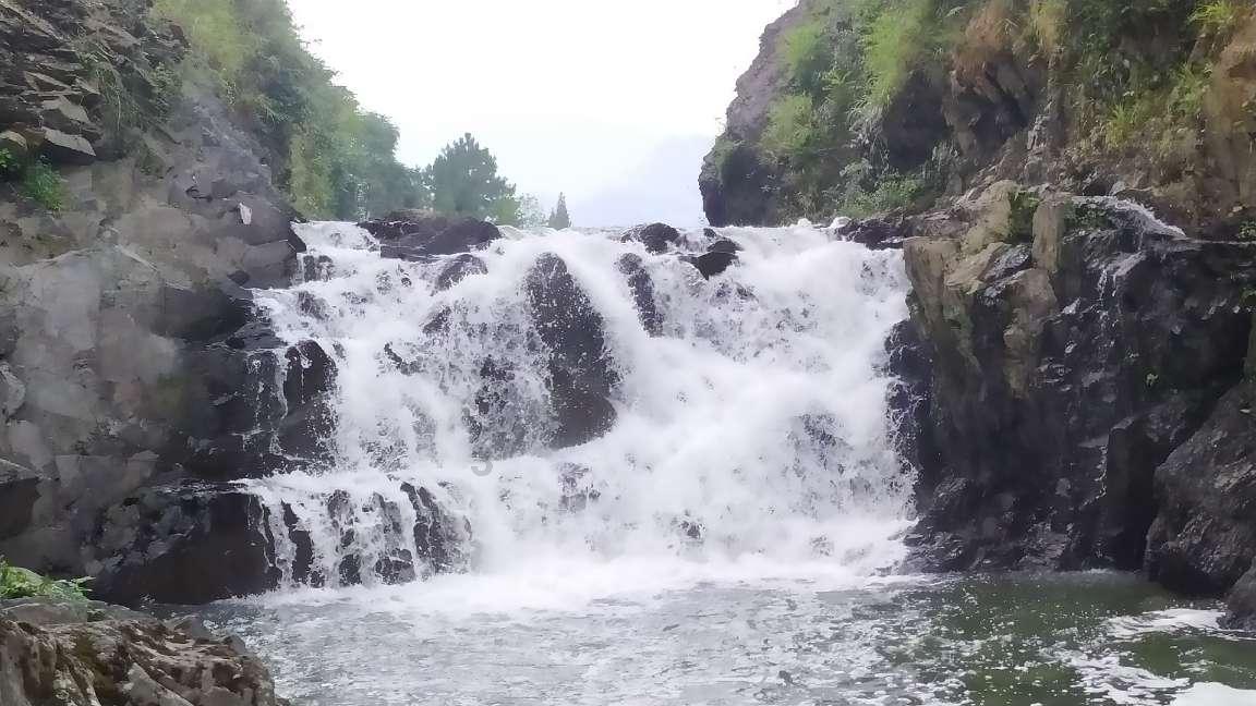 海岛大亨3