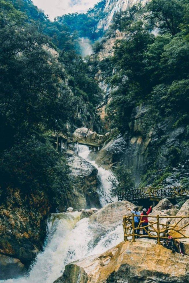 救援蝙蝠