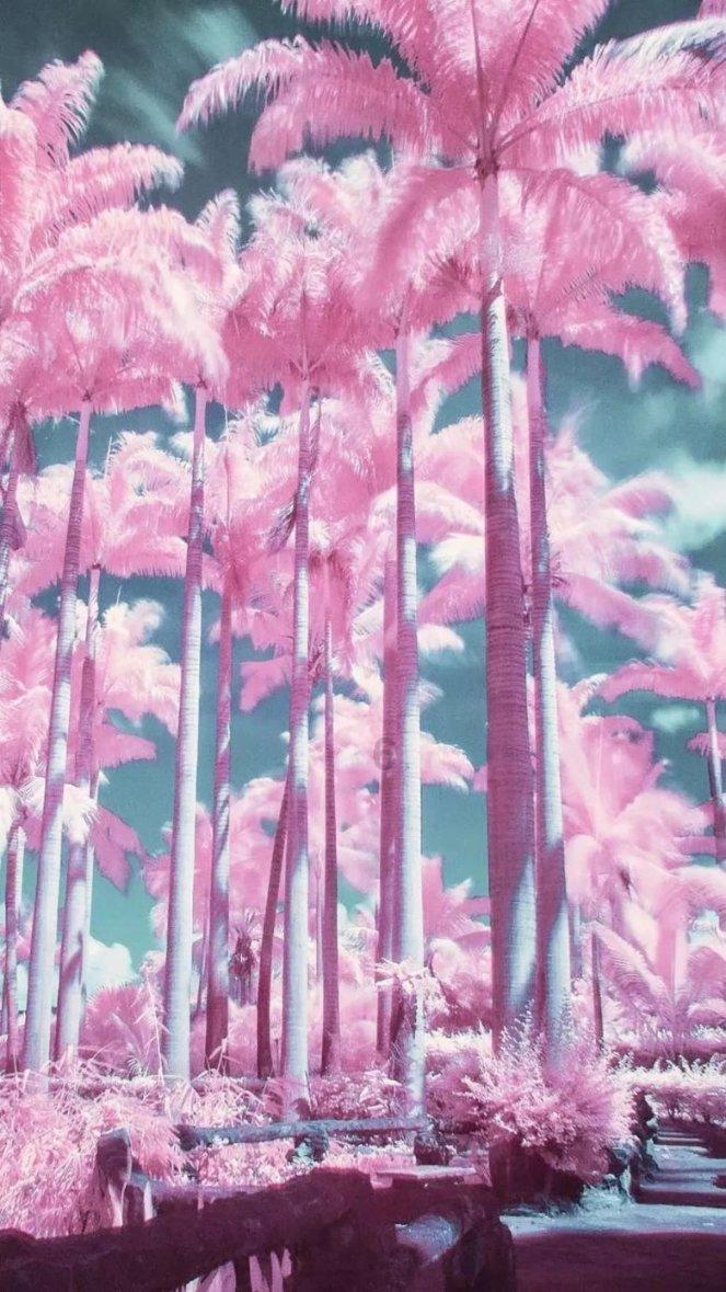 禅宗花园